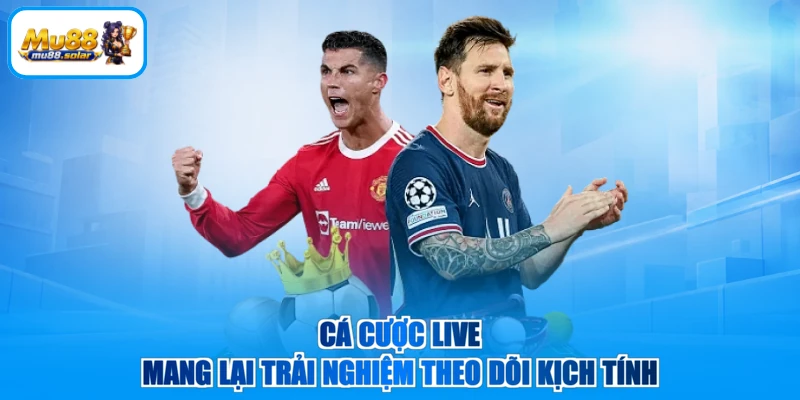 Cá cược live mang lại trải nghiệm theo dõi kịch tính