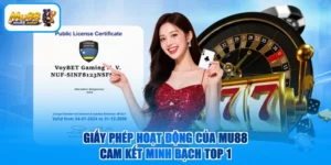 Giấy Phép Hoạt Động Của MU88 - Cam Kết Minh Bạch TOP 1