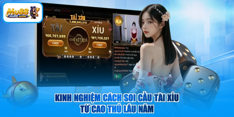 Kinh nghiệm cách soi cầu tài xỉu từ cao thủ lâu năm